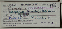 Image Associated With the Occurence